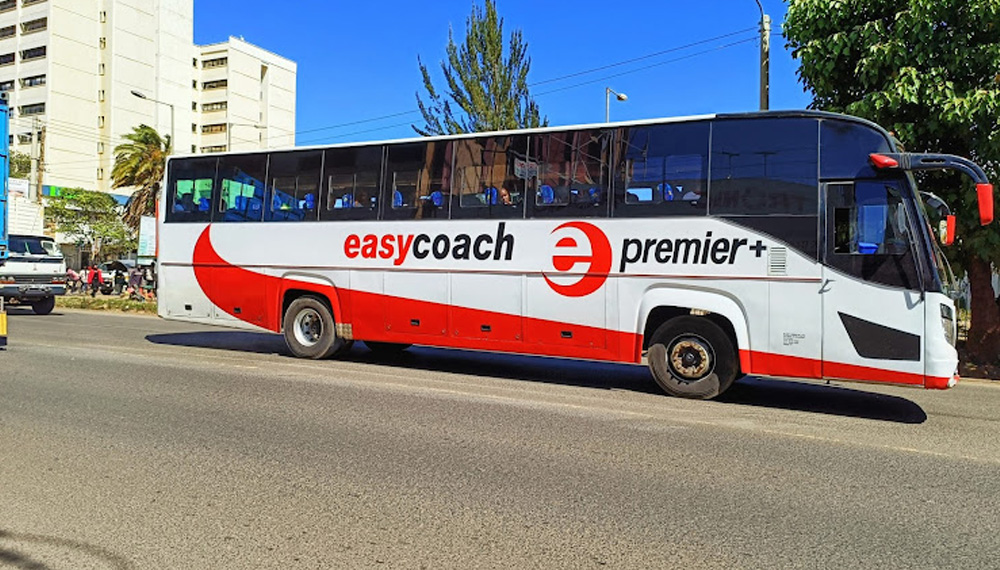 Easy Coach Ticket Price